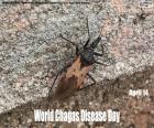 Dünya Chagas Hastalık Günü